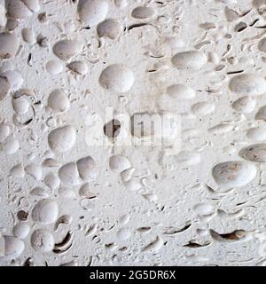This is a light limestone slab with traces of shells. Shell rock texture. Natural stone background. Square frame Stock Photo