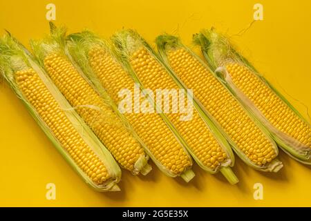 top view set of raw fresh corns with skin on color surface Stock Photo