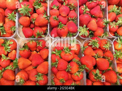 Closeup of bright juicy strawberries,natural background.Freshly picked organic strawberries in plastic transparent trays baskets on market,farmer fair Stock Photo