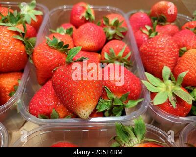 Closeup of bright juicy strawberries,natural background.Freshly picked organic strawberries in plastic transparent trays baskets on market,farmer fair Stock Photo
