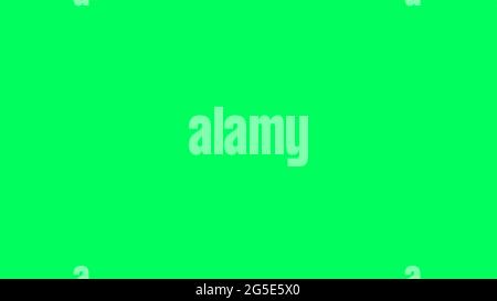 Plain Default GREEN with a little turquoise and like a green RGB solid color background empty space without anything for background of studio room and Stock Photo