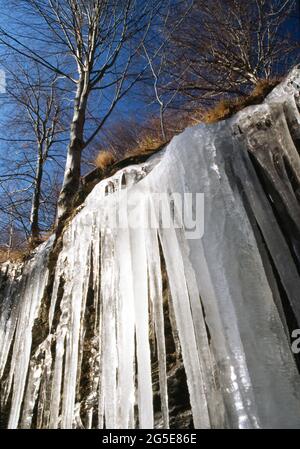 Acqua ghiacciata nel bosco nell'inverno in Liguria Stock Photo