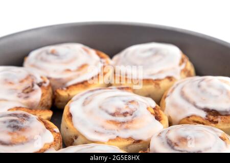 Fresh Cinnamon Rolls with White Icing in a Baking Pan Stock Photo