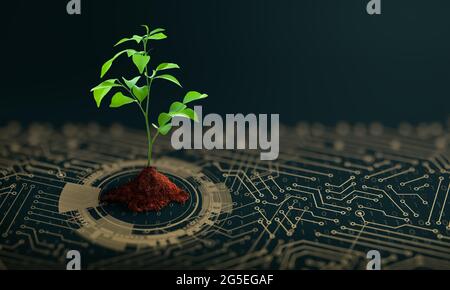 Growing tree with soil on the converging point of computer circuit board. Nature with Digital Convergence and Technological Convergence. Stock Photo