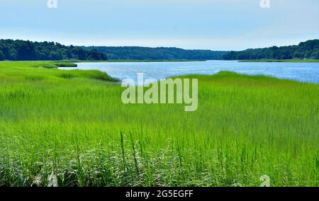 A bright green expanse of tidal salt marsh opens out to the blue water of Stony Brook Harbor on Long Island's north shore.. Copy space. Stock Photo