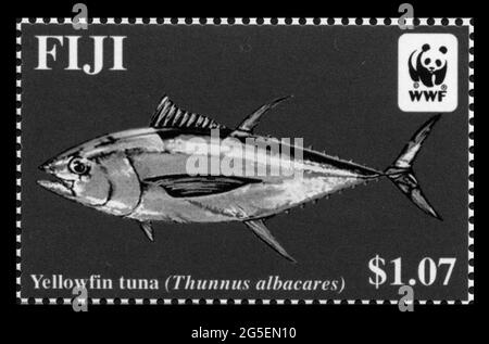 Stamp print in Fiji,fish, Yellowfin tuna,Thunnus albacares Stock Photo