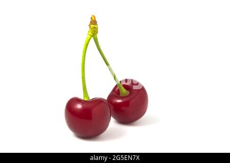 Two cherries isolated on white background. Fresh fruits full focus Stock Photo