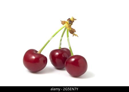 Three cherries isolated on white background. Fresh fruits full focus Stock Photo