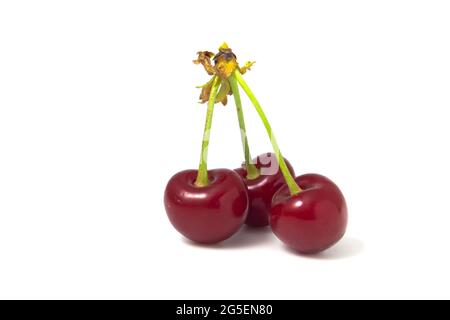 Three cherries isolated on white background. Fresh fruits full focus Stock Photo