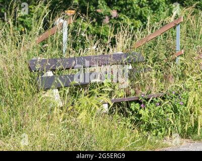 Wooden bench in a park completely overgrown with weeds Stock Photo
