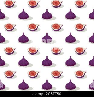 purple fig fruit sweet summer pattern on a white background seamless vector. Stock Vector