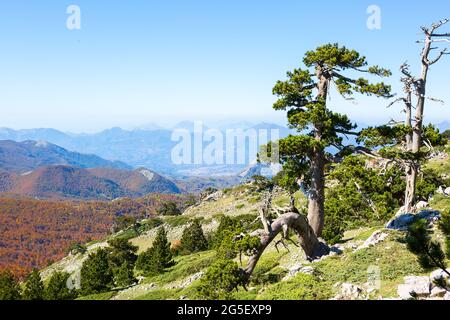 View from Serra Di Crispo, Pollino National Park,  southern Apennine Mountains, Italy. Stock Photo