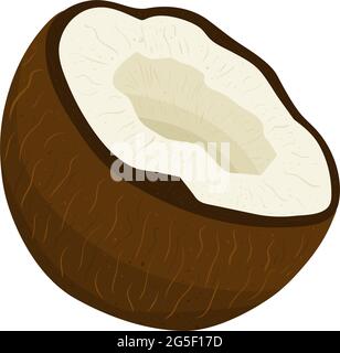 Cartoon illustration with colorful coconut. Farm market product. Vector hand drawn graphic. Single isolated art. Stock Vector