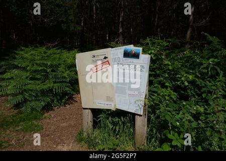 Sign in Rendlesham Forest UFO sighting at RAF Woodbridge USAF station Suffolk England UK spot alien board sign military sighted soldier soldiers US Stock Photo