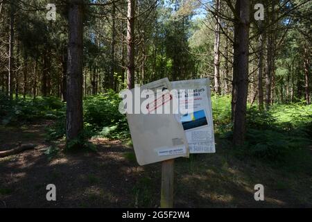 Sign in Rendlesham Forest UFO sighting at RAF Woodbridge USAF station Suffolk England UK woods found craft aliens landed military USAF alien aliens Stock Photo