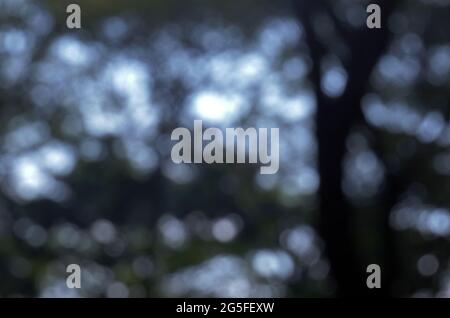 Bokeh Background, Nature abstract bokeh background Stock Photo