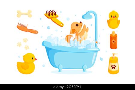 Dog grooming in a bath with pet shampoo, combs and rubber ducks. Playful chihuahua puppy in soap foam isolated in white background. Vector Stock Vector