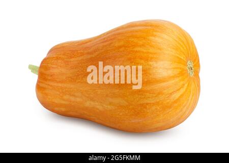 butternut squash isolated on white background with clipping path and full depth of field Stock Photo
