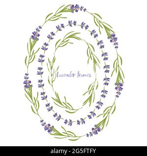 Set violet Lavender beautiful floral frames template in flat watercolor style isolated on white background for decorative design, wedding card Stock Vector