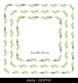 Set violet Lavender beautiful floral frames template in flat watercolor style isolated on white background for decorative design, wedding card Stock Vector