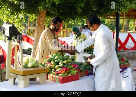 (210627) -- ASWAN, June 27, 2021 (Xinhua) -- People buy mangoes at a booth during the Mango Festival held in Aswan, Egypt, June 26, 2021. The four-day Mango Festival Aswan 2021 that kicked off on Friday is held by Aswan Governorate and joined by 12 merchants specialized in growing and distributing mangoes to promote the strategic fruit planted in the province and directly connect wholesalers with customers through win-win sales.   TO GO WITH 'Feature: Mango festival in Egypt's Aswan directly connects producers with customers' (Xinhua/Ahmed Gomaa) Stock Photo