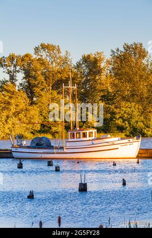 Small fishing boat Silver Ann docked at the Britannia Ship Yard in Steveston, British Columbia, Canada Stock Photo