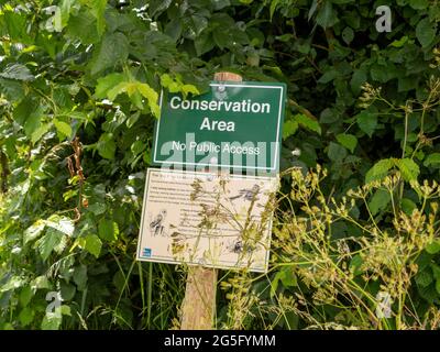 A green rectangular 'Conservation Area' sign on a wooden post in a hedge by a field area Stock Photo