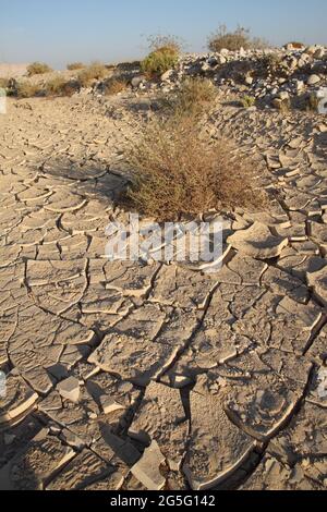 Cracks in the soil, sign of the dry climate in the Negev Desert, small bushes and rocks on a sunny day under the blue sky in Nachal Zin,  Negev Desert Stock Photo
