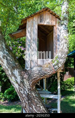 Tree house in a branched birch tree, small playhouse high up in a garden Stock Photo