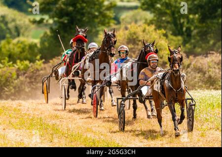 Lissangle, Caheragh, West Cork, Ireland. 27th June, 2021. There was an 8 race card at Lissangle today in the sulky racing on a very warm and sunny day. Credit: AG News/Alamy Live News Stock Photo