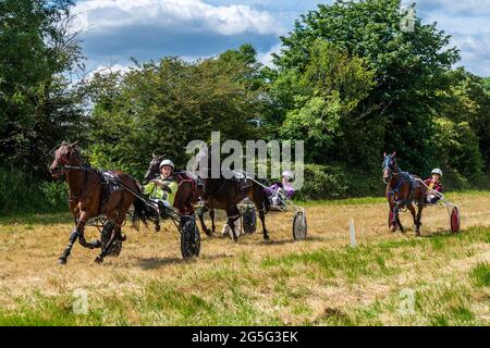 Lissangle, Caheragh, West Cork, Ireland. 27th June, 2021. There was an 8 race card at Lissangle today in the sulky racing on a very warm and sunny day. Credit: AG News/Alamy Live News Stock Photo