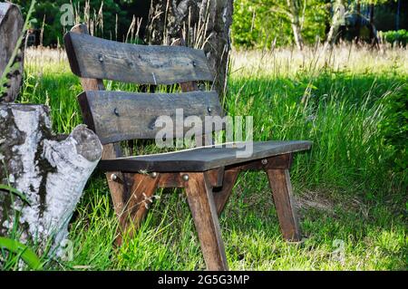 Lonely, slightly weathered wooden bench in the middle of a wild meadow in summer Stock Photo