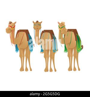 Cute camels dromedary - vector illustration isolated on transparent background Stock Vector