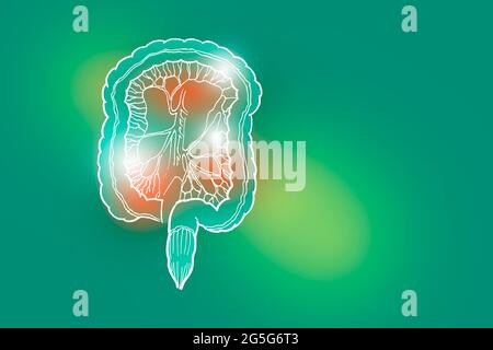 Handrawn illustration of human Intestine on light green background. Medical, science set with main human organs with empty copy space for text Stock Photo