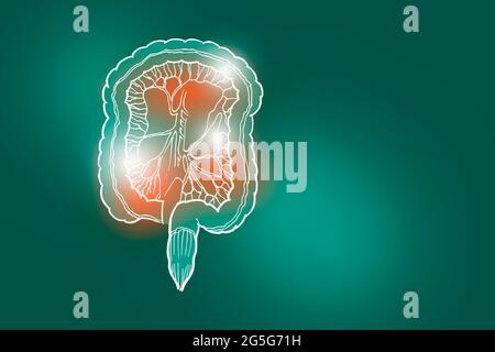 Handrawn illustration of human Intestine on deep green background. Medical, science set with main human organs with empty copy space for text Stock Photo