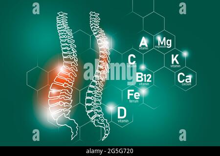 Essential nutrients for Spine health including Magnesium, Vitamin B12, Calcium, Ferrum.Design set of  human organs on deep green background. Stock Photo