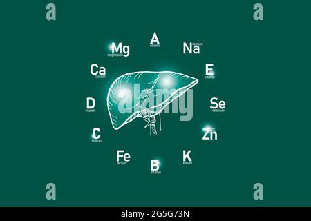 Stylized clockface with essential vitamins and microelements for human health, hand drawn Liver, deep green background. Stock Photo