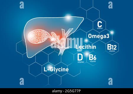 Essential nutrients for Gall Bladder health including Omega 3, L-Glycine, Omega3, Lecithin. Design set of main human organs with vitamins on blue Stock Photo