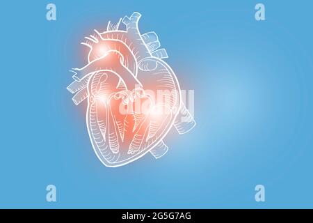 Handrawn illustration of human heart on light blue background. Medical, science set with main human organs with empty copy space for text Stock Photo