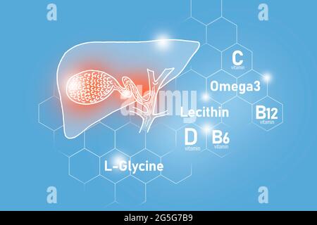 Essential nutrients for Gall Bladder health including Omega 3, L-Glycine, Omega3, Lecithin on light blue background. Stock Photo