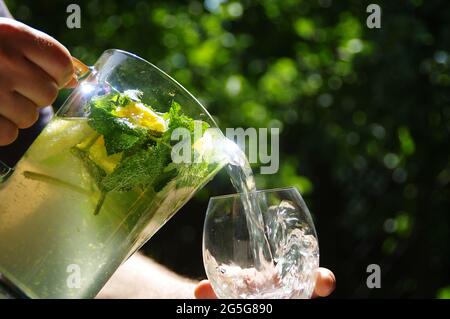 Cool and fresh homemade lemonade. A cold lemon drink with citrus slices poured from a jug into a glass. Organic mint drink with green leaves. Stock Photo