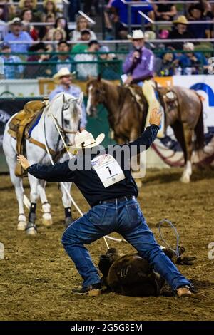 Reno, United States. 26th June, 2021. JJ Hampton ropes a calf becoming ...