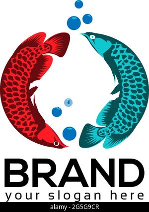 Arowana fish vector. two arowana fish. Vector Illustration on white background Stock Vector