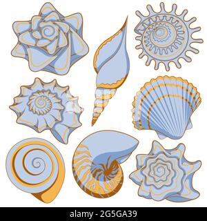 Set of colored sea shells. Isolated vector objects on white background. Stock Vector