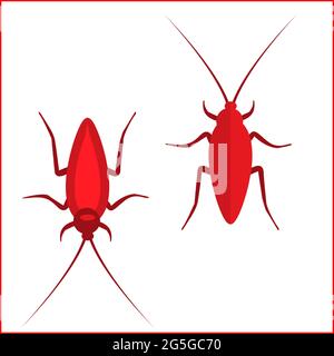 Cockroach insect icons set, Vector Illustration. Red Cockroach. Stock Vector