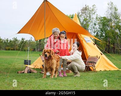 Happy grandparents and grandchildren take a group photo with their pet dog outdoors high quality photo Stock Photo
