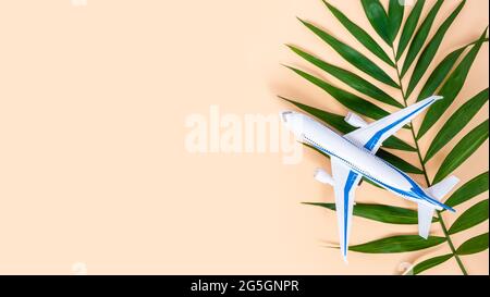 Airplane and palm leaf on neutral beige background with copy space for text. White and blue plane. Summer air travel concept Stock Photo