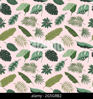 Tropical leaves pattern, monstera, palm tree and banana leaf illustration on pink background, botanical seamless repeat ornament, various jungle Stock Vector