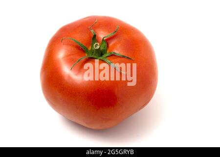 One fresh red tomato isolated on white. Stock Photo