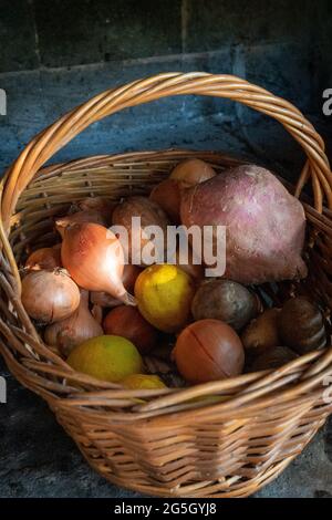 organic cultivation in a basket with lemon, onions, sweet potato Stock Photo